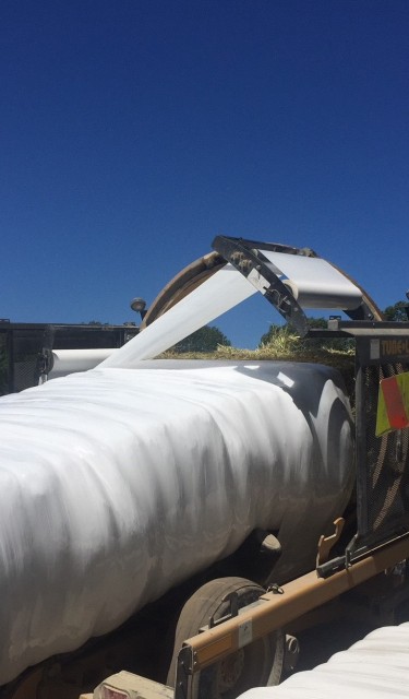 white wrapping